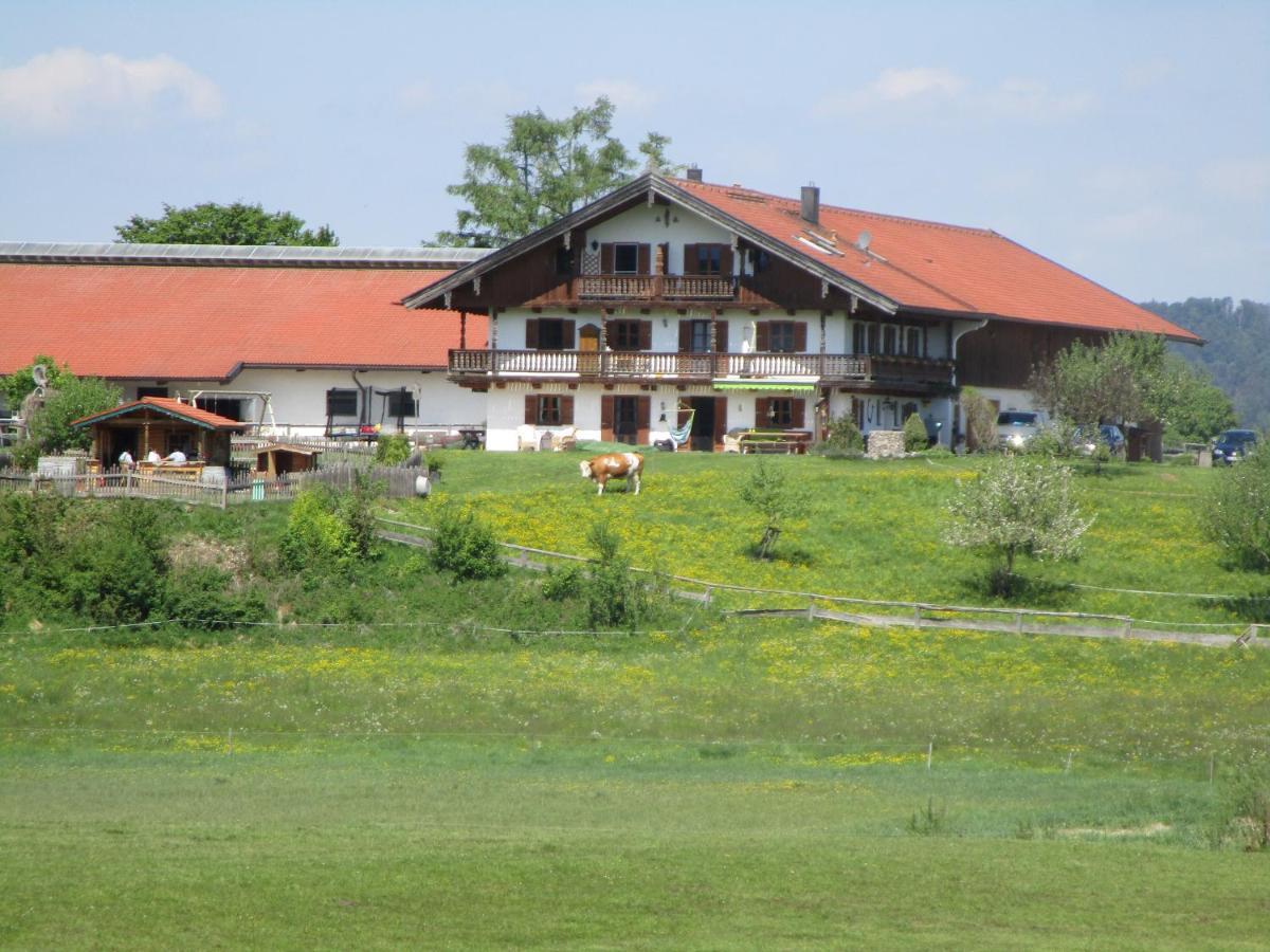 Biohof Babel Apartman Sachsenkam Kültér fotó